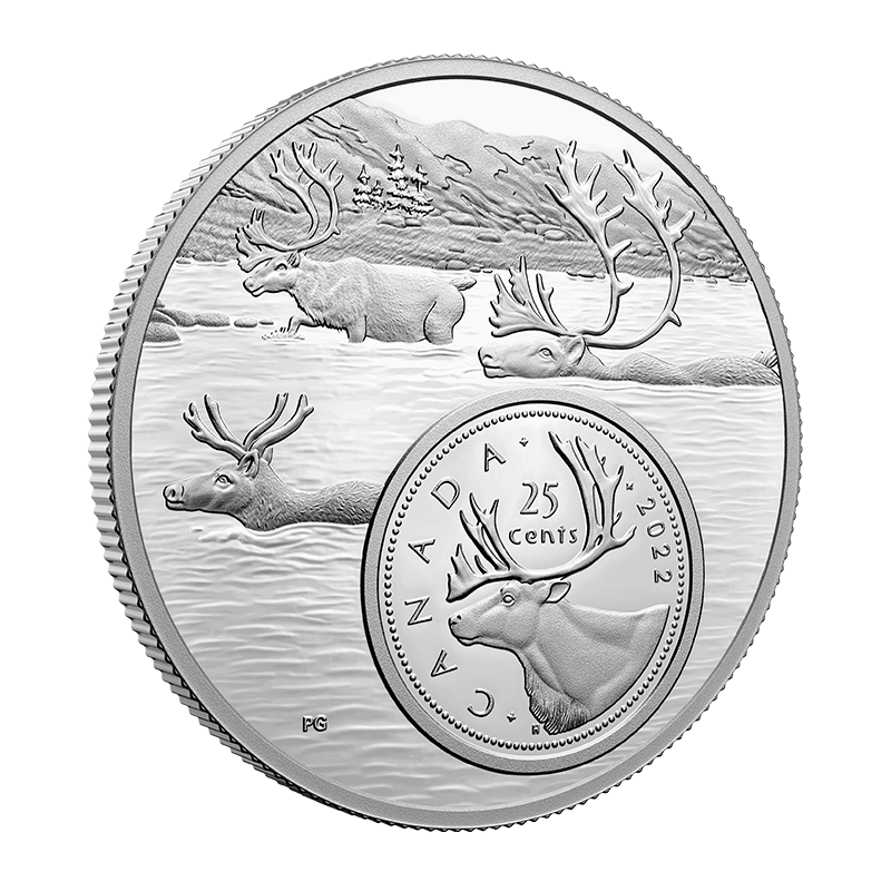 Buy 5 oz Fine Silver Coin The Bigger Picture: 25 - Cent Coin - The